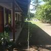 Posada Caba�as Daneysha Tortuguero