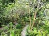 Bed & Breakfast La Monta�ita Lodge