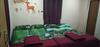 Dandeli Jungle Homestay