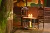 Dandeli Jungle Homestay