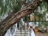 Villa Sorondongo Beach & Garden