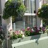 Hostal Birchleigh Guest House