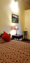 Hotel A Dogs Story, Mussoorie