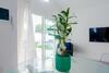 Villa Rooms & Suites Princesa Leticia