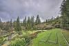Charming And Pet-friendly Pine Grove Retreat!