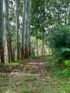 Agroturismo Chubb's Cottage