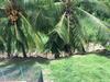 Apartamento Appartement T2 Tous Confort