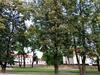 Apartments Kohtla-jarve