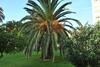 Apartamento Fewo Algarrobo-costa