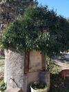 Ca La Maria - Allotjament Rural