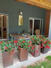 Apartamento El Habar de Pria