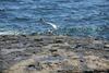 Bed & Breakfast Pozo Gaviota