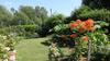 Hostal Lyndhurst Country House