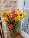 Studio Apartment B&B Zadar Sunset