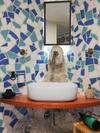Masseria Del Ninfeo Bed And Breakfast Nella Natura