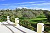 Villa Country Alguerhouse