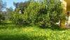 Villa Country Alguerhouse
