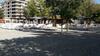 Apartamento Park Golden Beach Tasevski