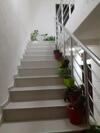 Hostal Apartments Filemi