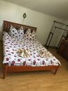 Hostal Vila Firuta Borsa