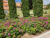 River Lux Apartman Dunaszentmikl�s
