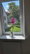 Hostal Guest House Gero V?jo Namai