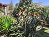 Apartamento Stazzzu Solianu