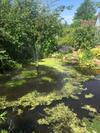 Bed & Breakfast Watergardens