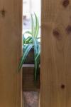 Apartamento Delfini Home Plaka/acropolis