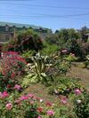 Hostal Guest House Villa Roza