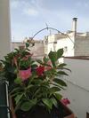 Bed & Breakfast Il Vicoletto