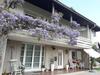 Apartamento Green Paradise
