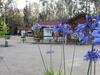 Caba�as F90 Algarrobo