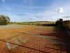 Go?ciniec Piast Hotel I Camping