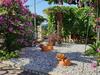 Sea View Terrace Apartment Izola