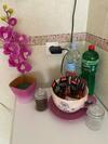 Apartment Orchid 021