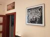 M10 Old Town Apartments Kosice