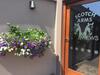 Bed & Breakfast Scotch Arms Mews