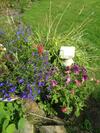 Bed & Breakfast Belstane House