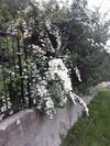 Apartamento ?umska Idila Rakovac
