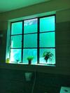 Tenam Garden Holistic Homestay