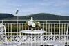 Hotel Plas Maenan Country House