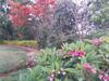 Hostal Kamat Riviera