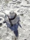 Agroturismo The Stony Hills - Exclusive Mountain Homes