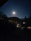 Naggar Homestay