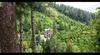Bed & Breakfast The Himalayan Stay Bnb