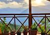 Dream Woods 4br Wfh Naggar