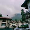 Hostal The Wood Resort