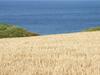 Bank View Self Catering Apartment