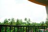 Betel Palm Hotel